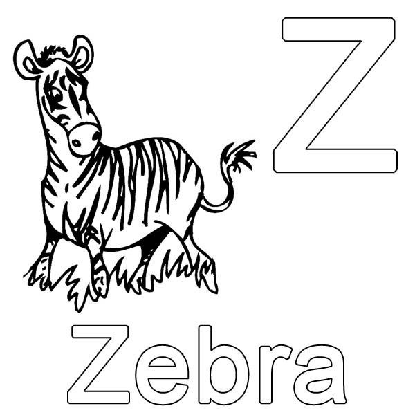 kostenlose malvorlage buchstaben lernen z wie zebra zum