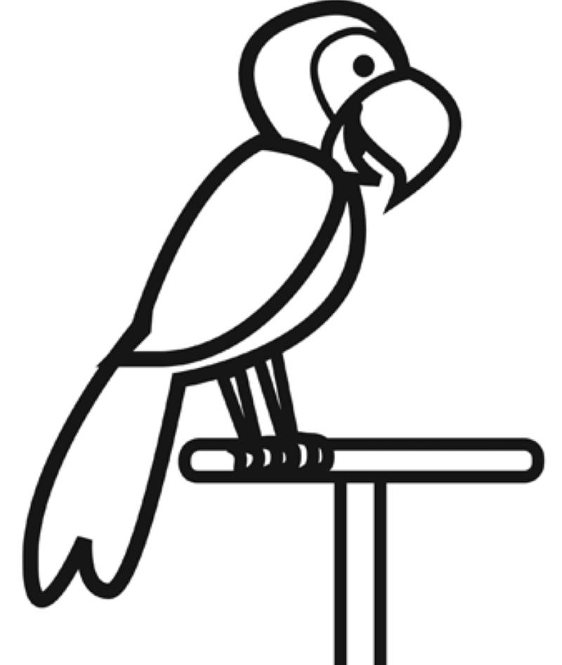 kostenlose malvorlage vögel papagei zum ausmalen