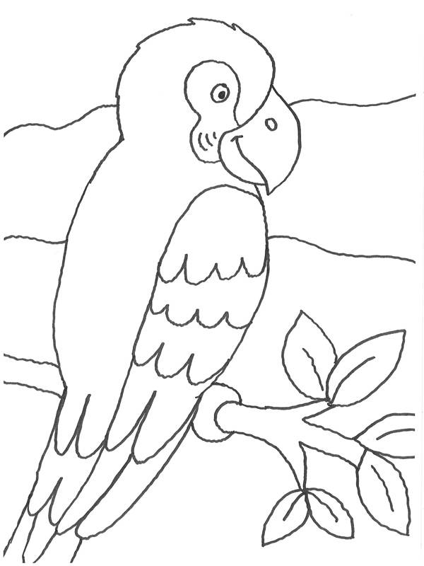 ausmalbild vögel papagei auf einem ast kostenlos ausdrucken