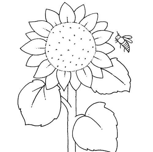 kostenlose malvorlage bauernhof sonnenblume zum ausmalen