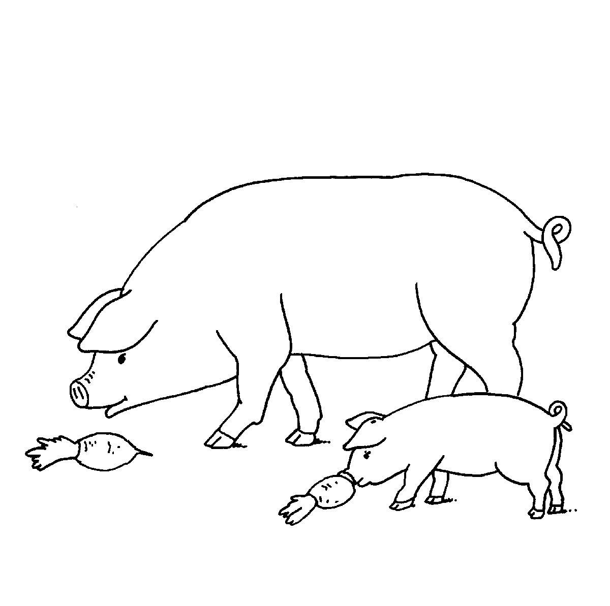 ausmalbild bauernhof schweine auf dem bauernhof kostenlos