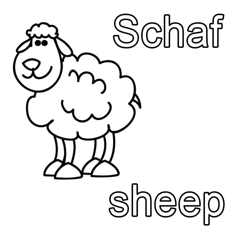 kostenlose malvorlage englisch lernen schaf  sheep zum