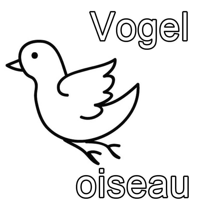 kostenlose malvorlage französisch lernen vogel  oiseau