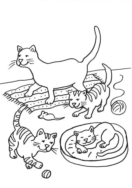 ausmalbild katzen katzenfamilie ausmalen kostenlos ausdrucken