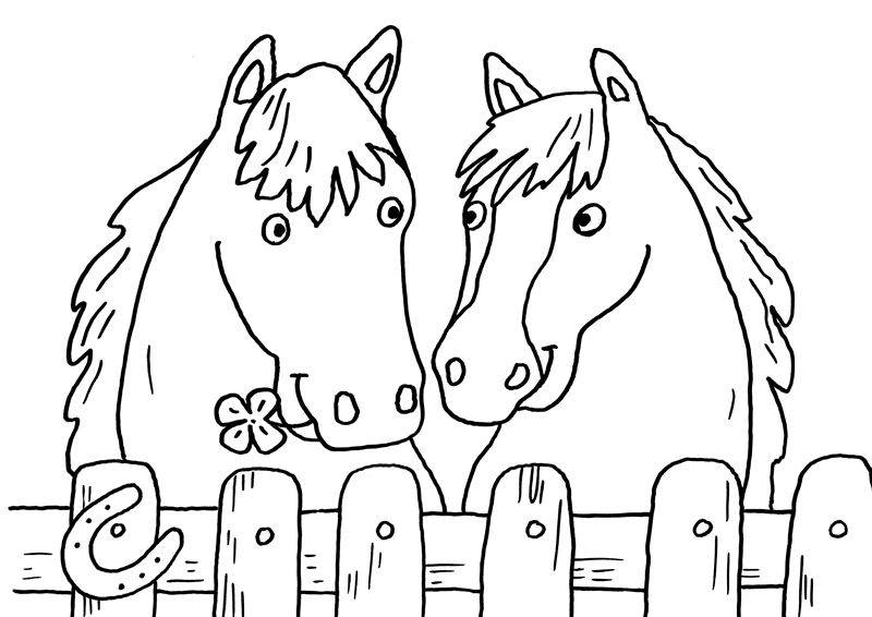 Ausmalbild Pferde Zwei Pferde Zum Ausmalen Kostenlos Ausdrucken