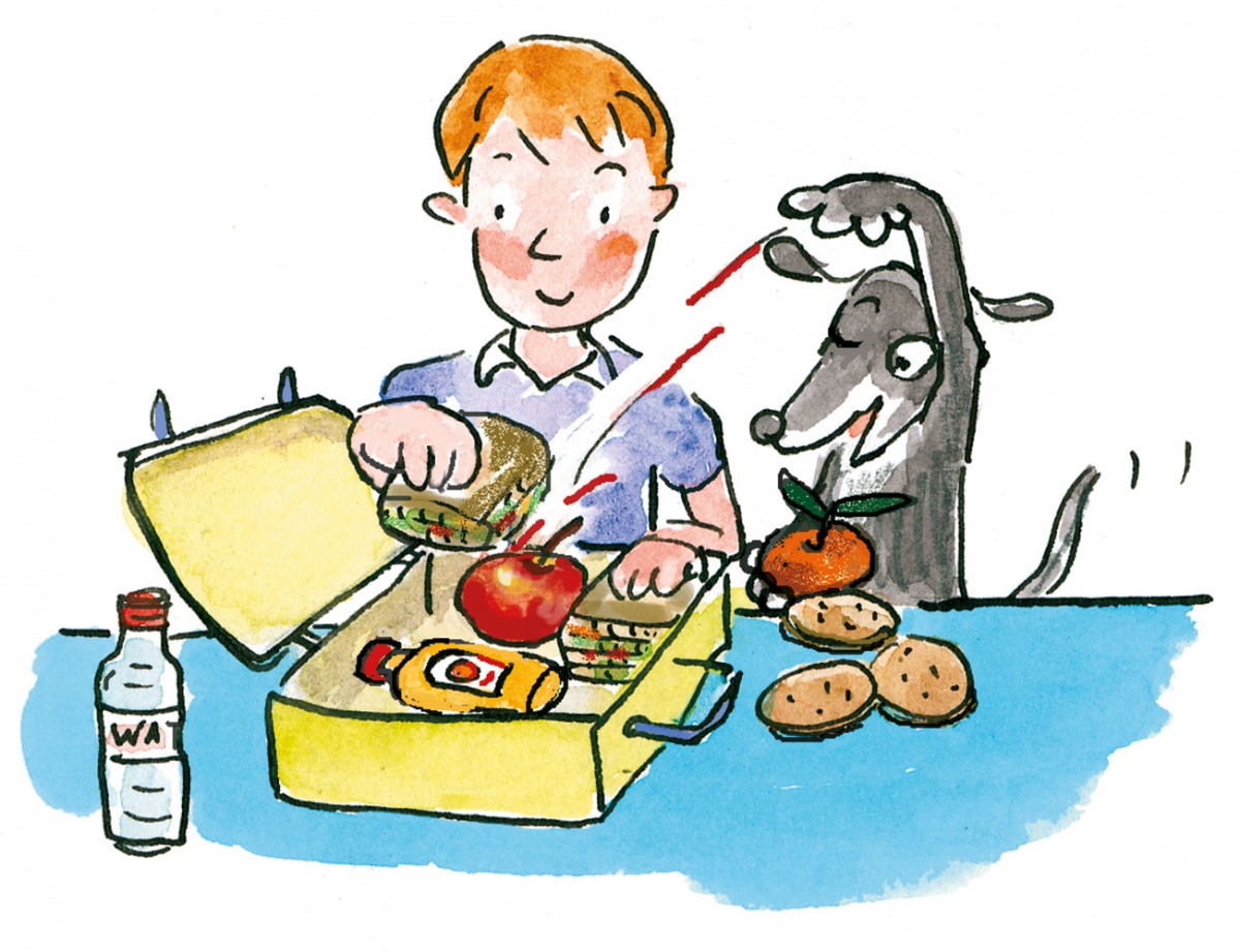 Lunch box - Preperation 4