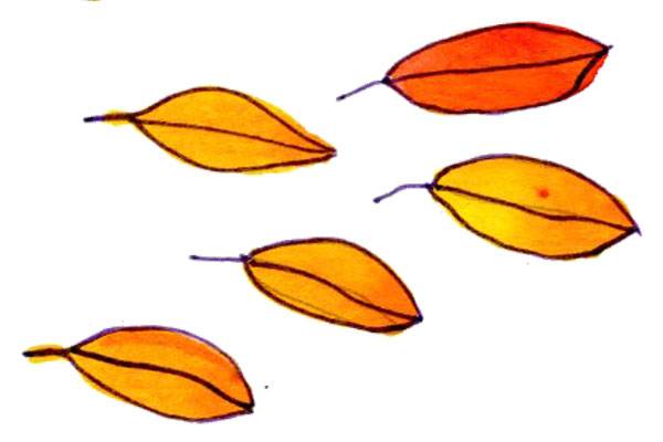 Basteln Sie einen Herbst-Drachen aus bunten Bl&auml;ttern