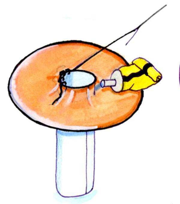 Basteln Sie eine Fliegenpilz aus Filz