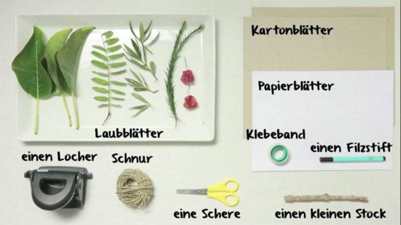 Material für das Herbarium