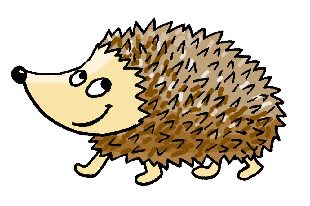Igel