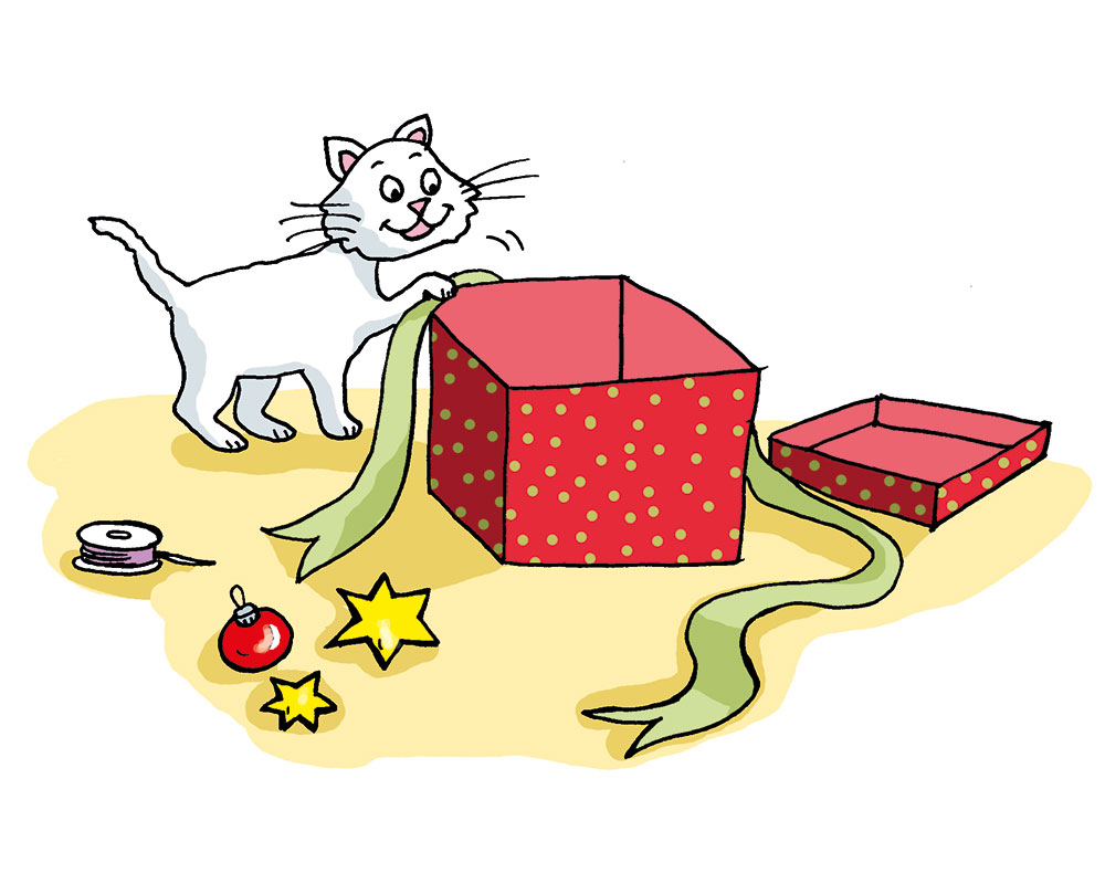 Katze Sammy an Weihnachten