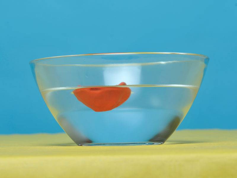Experiment: Auftrieb im Wasser