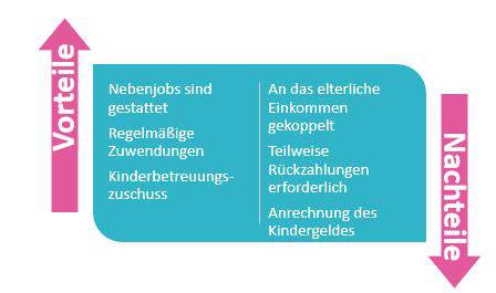 Vor- und Nachteile beim BAf&ouml;G