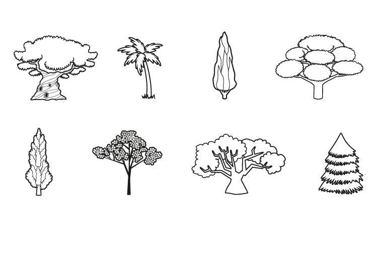 Ausmalbild 15+ starke Bäume zum Ausmalen: Verschiedene Bäume ausmalen kostenlos ausdrucken