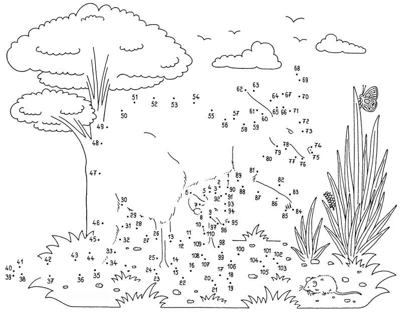 Dibujos De Puntos Dibujo Animales Infantiles Imagenes Del Medio Ambiente