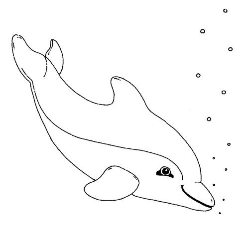 33 delphine bilder kostenlos  besten bilder von ausmalbilder