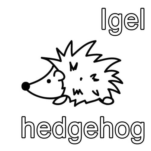 kostenlose malvorlage englisch lernen igel  hedgehog zum