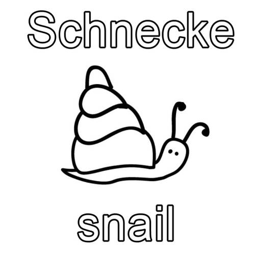 kostenlose malvorlage englisch lernen schnecke  snail