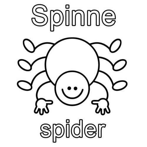 kostenlose malvorlage englisch lernen spinne  spider zum