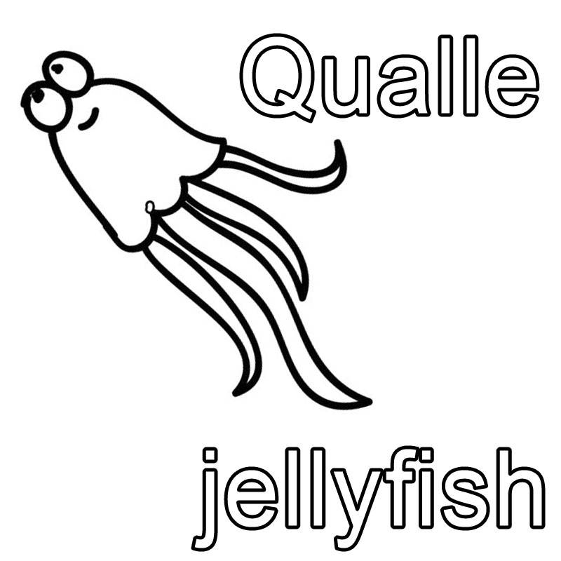 ausmalbild englisch lernen qualle  jellyfish kostenlos