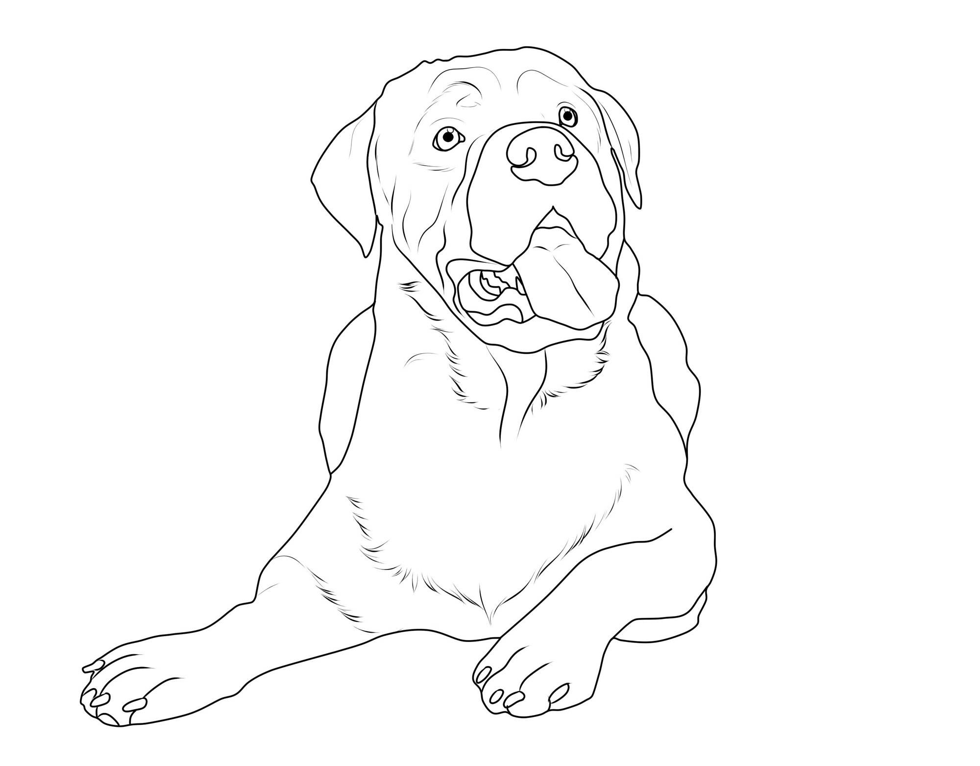 ausmalbild hunde: rottweiler kostenlos ausdrucken