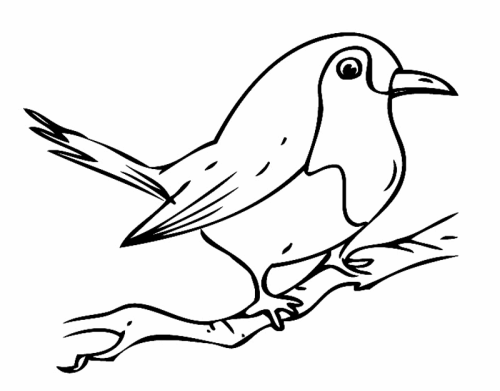 kostenlose malvorlage vögel kleiner vogel auf einem ast