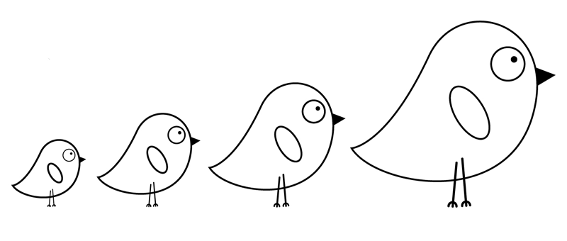 ausmalbild vögel vier küken kostenlos ausdrucken