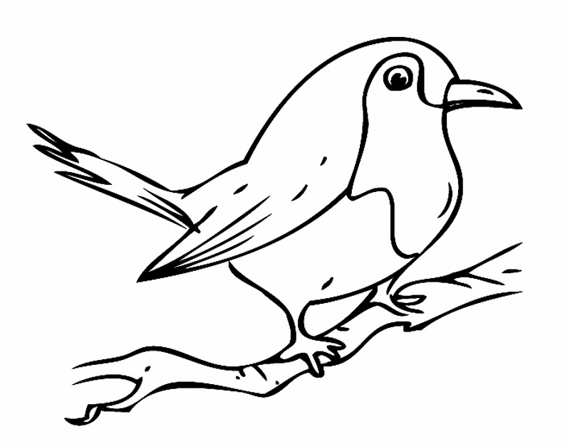 ausmalbilder vogel kostenlos ausdrucken  kinder zeichnen
