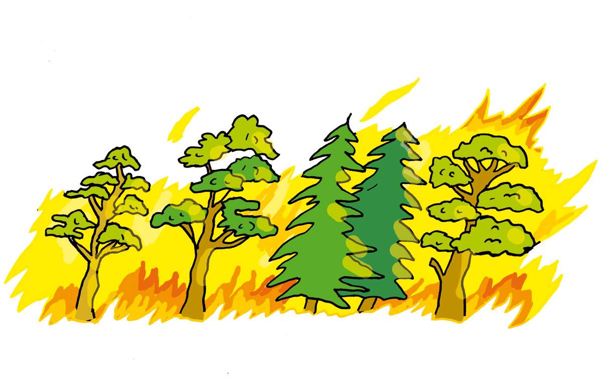 Waldbrand