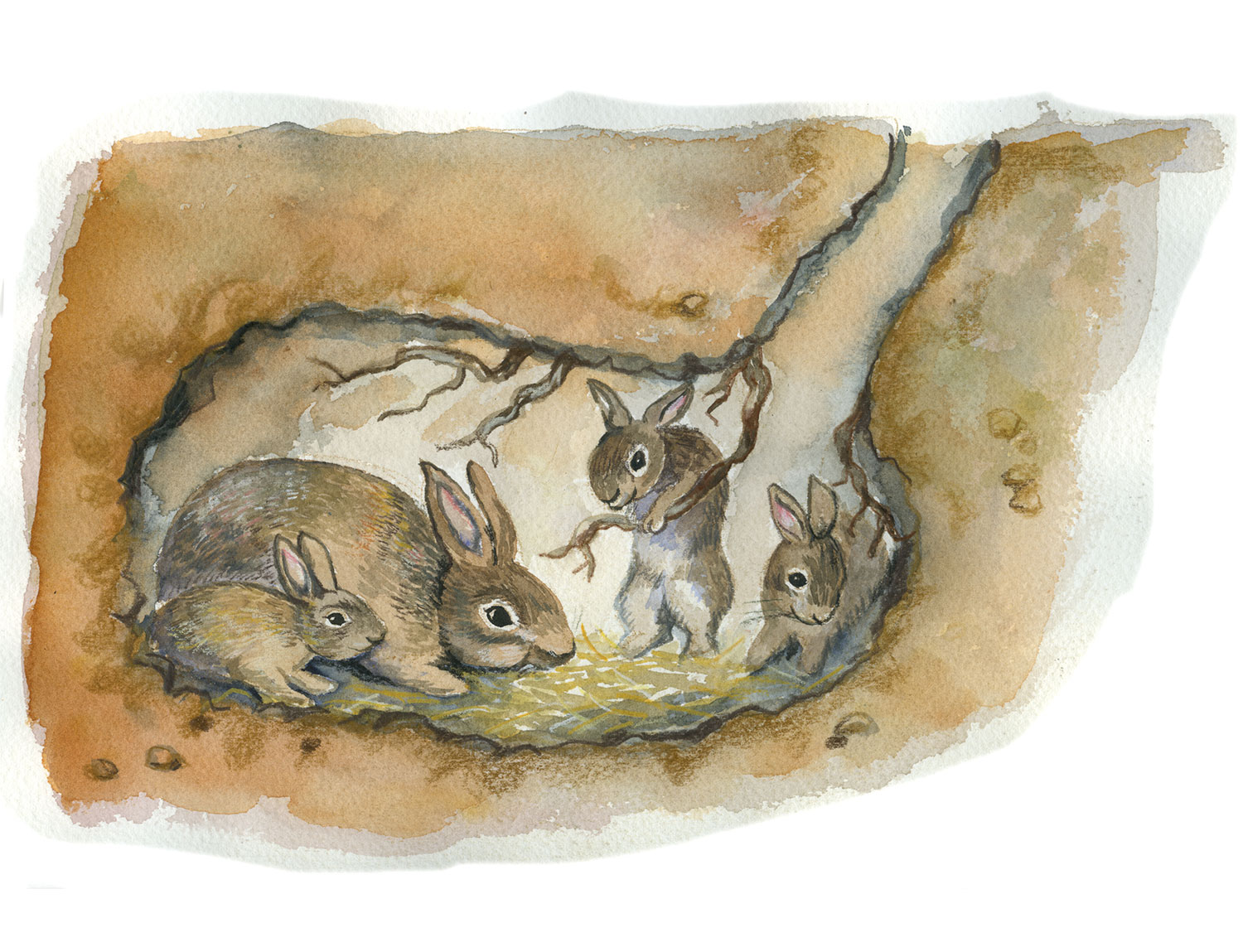 Kaninchen in der Erdh&ouml;hle